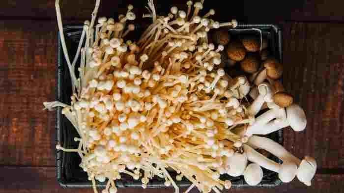 Selandia Baru Restui 'Jamur Ajaib' untuk Terapi Depresi, Hanya 1 Psikiater Boleh Meresepkan