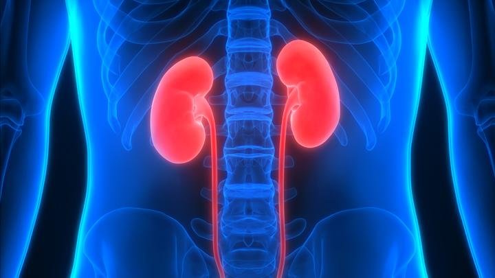 75 Tahun Transplantasi Ginjal Pertama: 8 Tips Menjaga Ginjal Tetap Sehat
