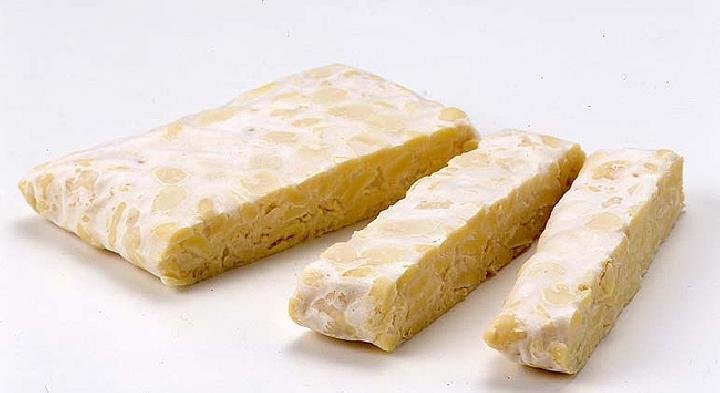 Upaya Tempe Menjadi Warisan Budaya Tak Benda UNESCO