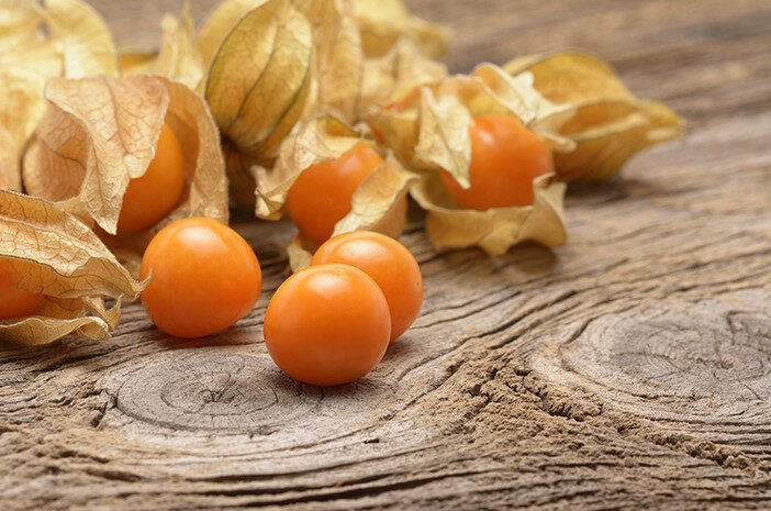 Manfaat Kesehatan Luar Biasa dari Buah Ciplukan: Dari Penglihatan hingga Pencegahan Kanker
