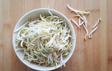 Apakah Bahaya Mengkonsumsi Akar Tauge? Simak Penjelasan Ahli Berikut