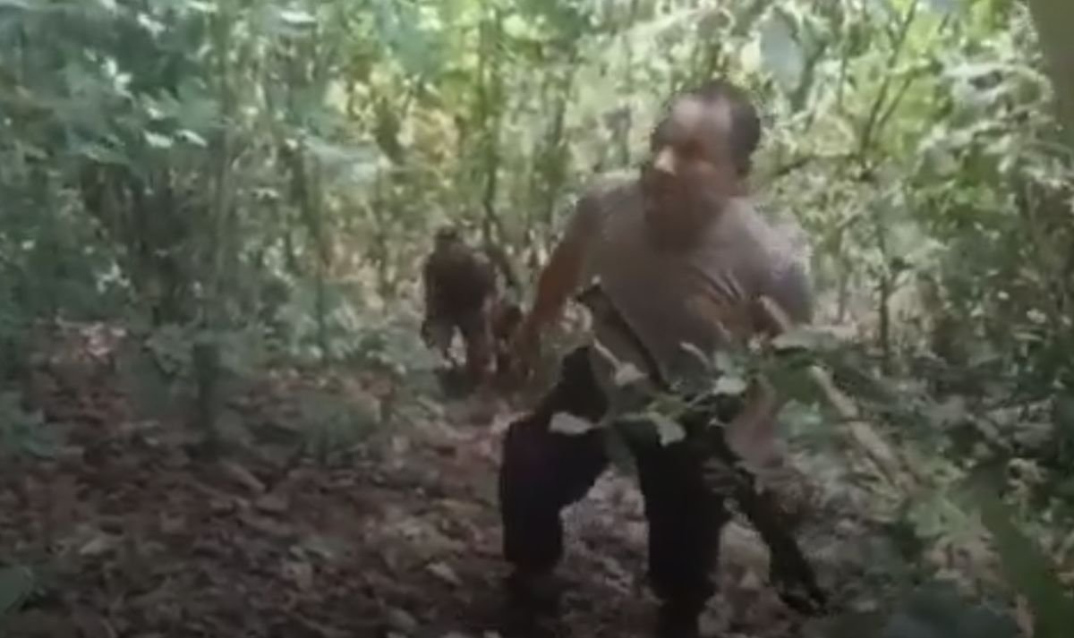 Pemuda di Aceh Ngamuk Bantai 5 Orang, Polisi Sisir Hutan Belantara Kejar Pelaku