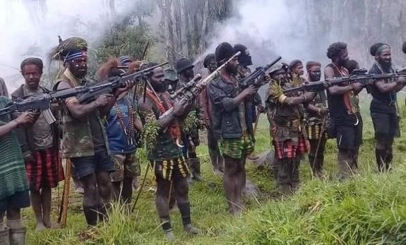 Aksi OPM Semakin Keji! Pembunuhan Warga Sipil hingga Nakes Tidak Manusiawi dan Langgar HAM